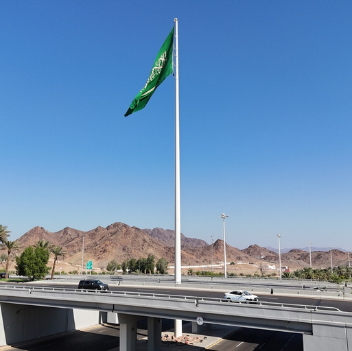 صورة المشروع